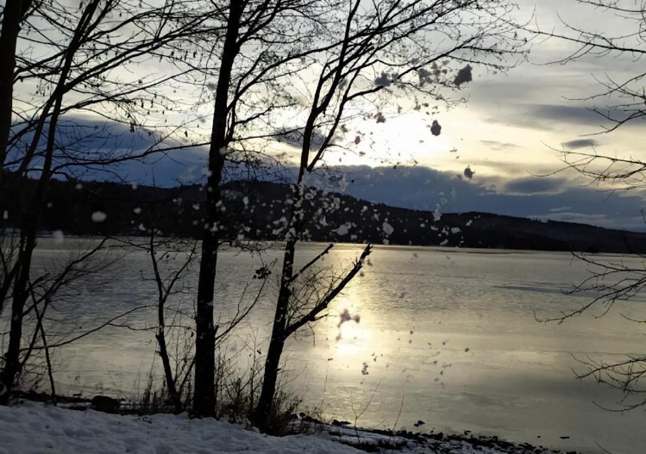 Hotel Lipno Pearl à Lipno nad Vltavou Extérieur photo