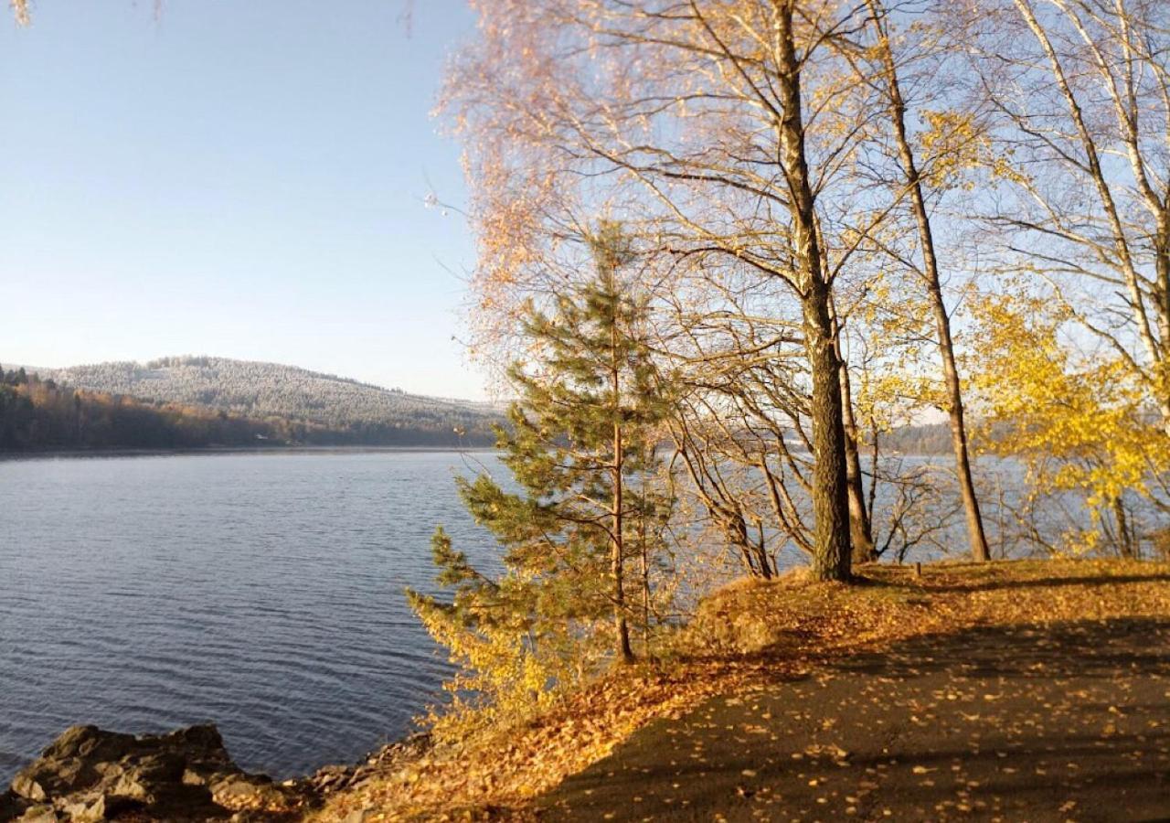 Hotel Lipno Pearl à Lipno nad Vltavou Extérieur photo